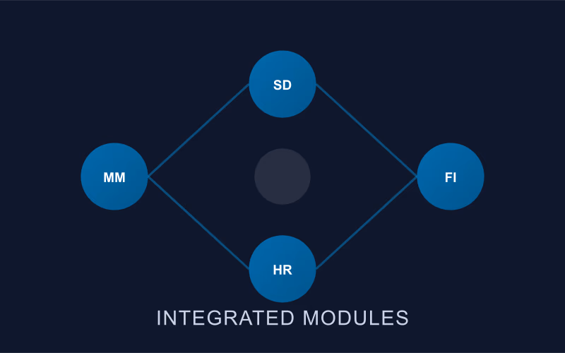 SAP Modül Danışmanlığında AI Desteği