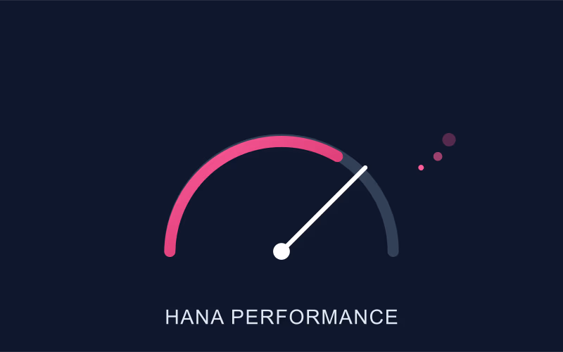 SAP HANA SQL Performans Optimizasyonu